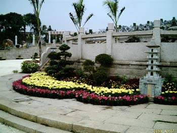IMAG0129